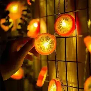Lemon Orange Fruit Fairy String Light Fairy Lamp 10/20Leds